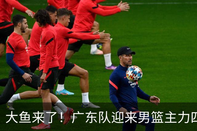 大鱼来了！广东队迎来男篮主力四号位，力保亚帅进总决赛！